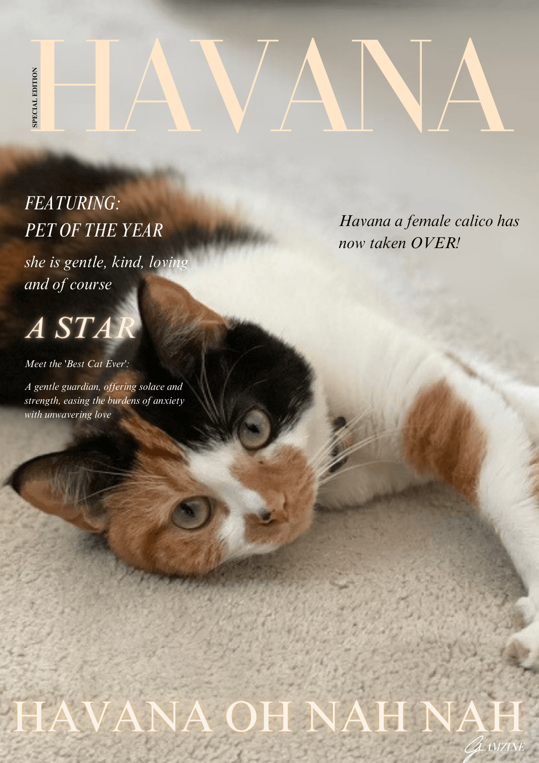 Personalised Magazine Cover Wall Art Pet Edition